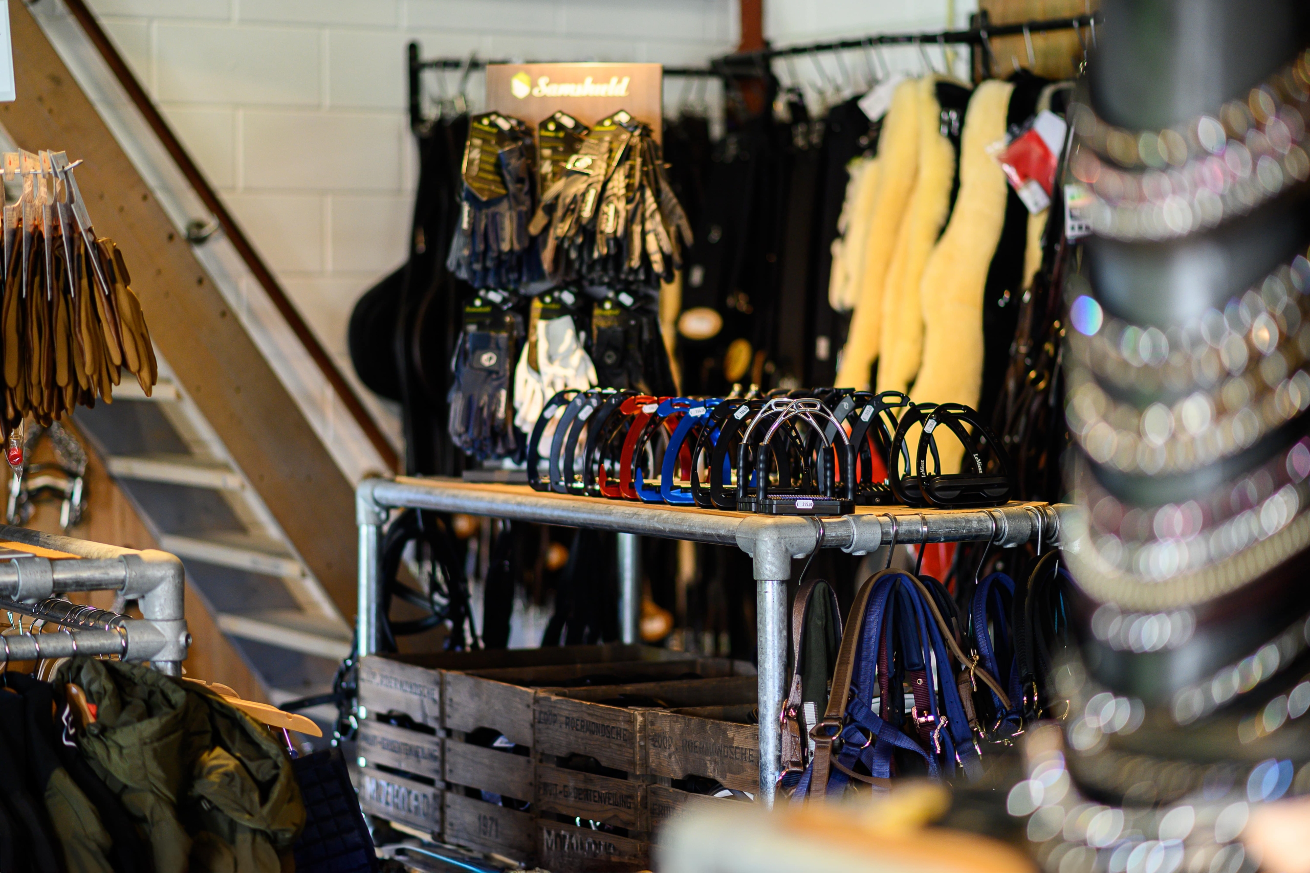 RAL-20240606HOLLANDERWINKEL-3899-Edit-min