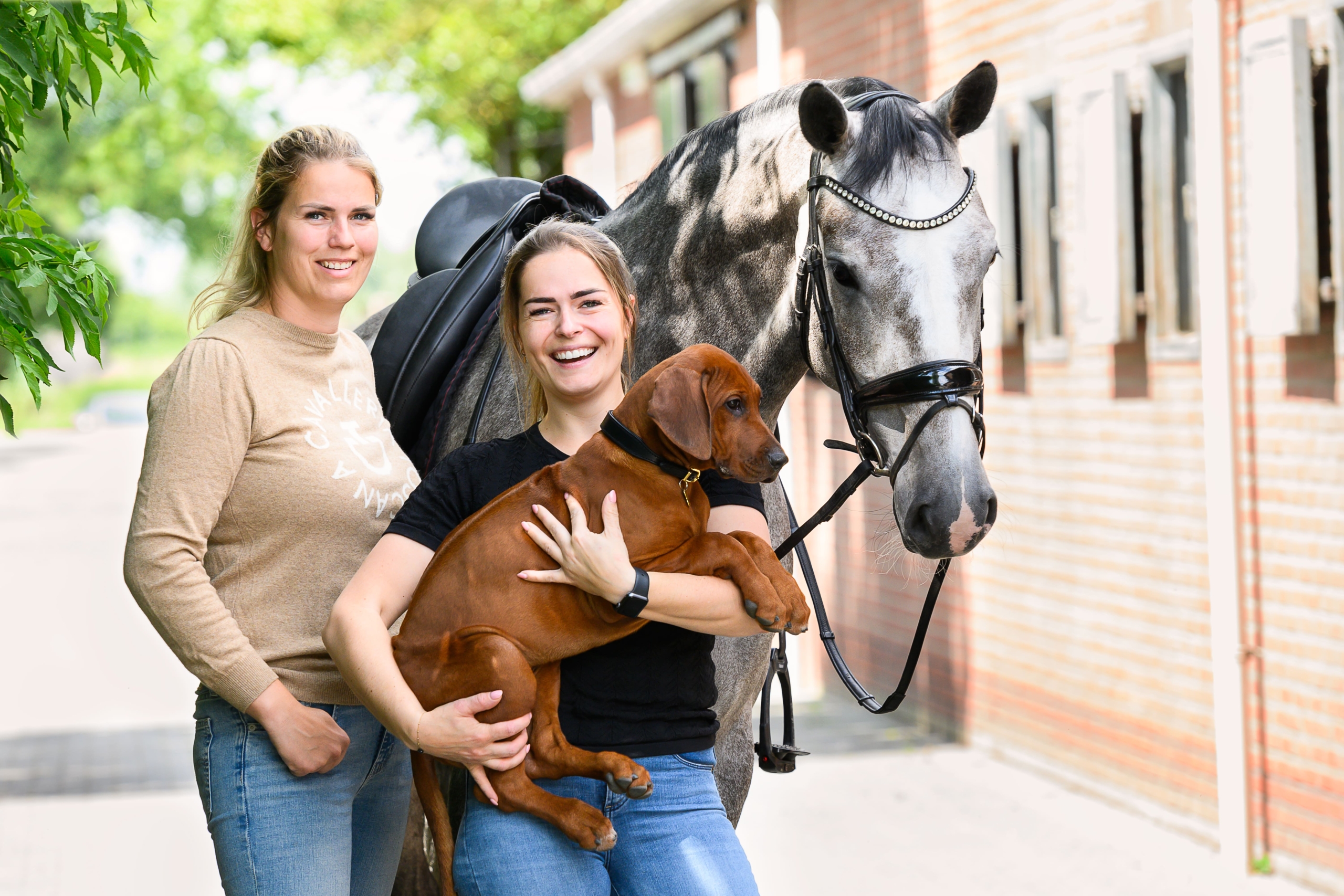 RAL-20240807-HOLLANDERBRUMMEN1-7305 (1)